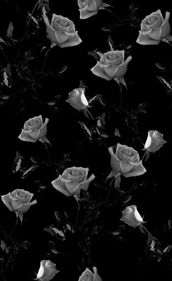 585164-欧美时尚单色格调花卉