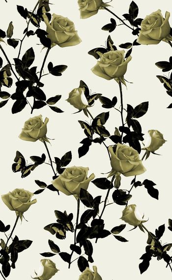 585165-欧美时尚单色格调花卉