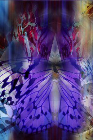 动物印花华亿平台图片