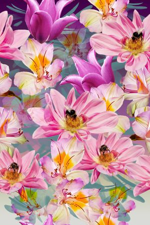 零点--女装印花华亿平台图片