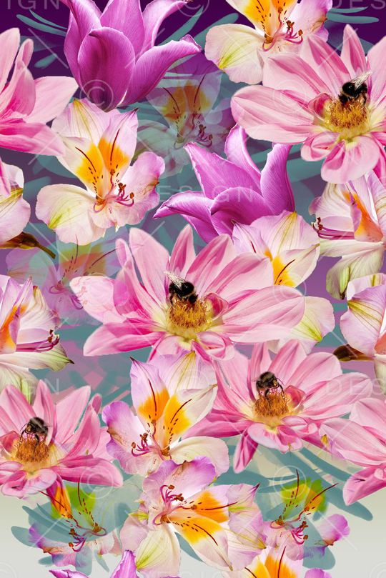 零点--女装印花华亿平台图片