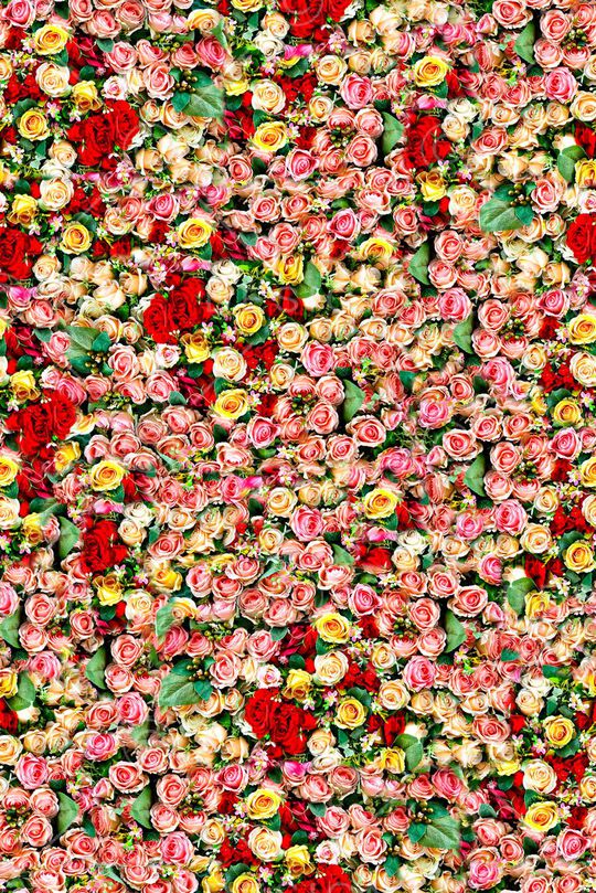 时尚大牌欧美风格印花华亿平台图片