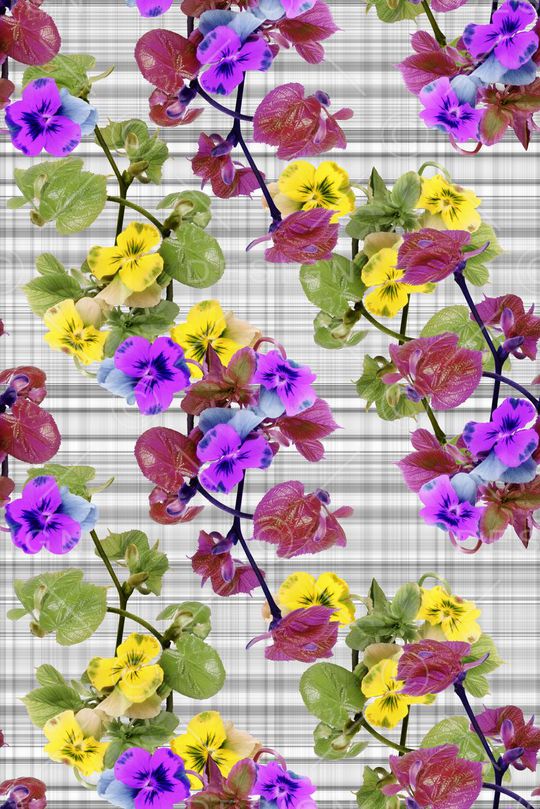 乱花印花华亿平台图片