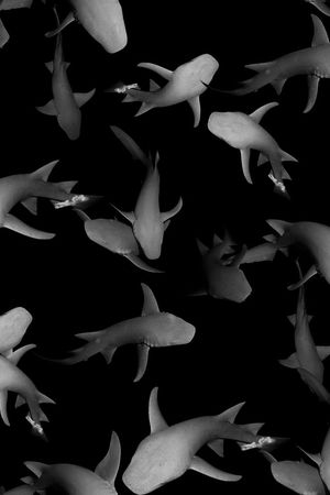 T恤卫衣印花印花华亿平台图片