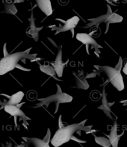 T恤卫衣印花印花华亿平台图片