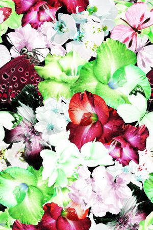 甜美 清新印花华亿平台图片