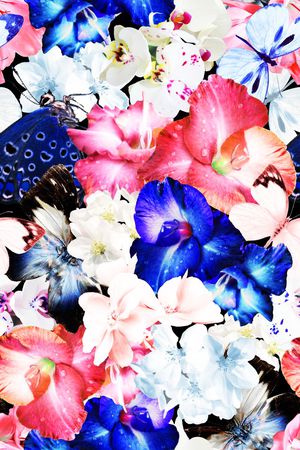 甜美 清新印花华亿平台图片