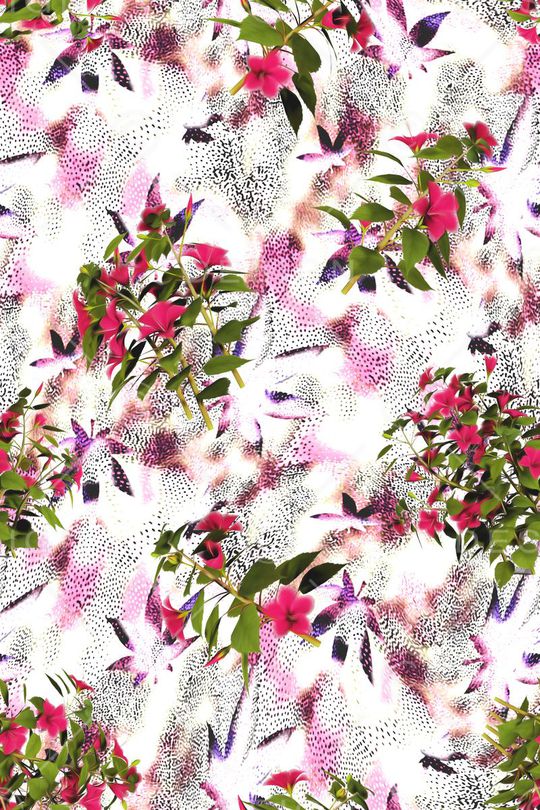 女装印花华亿平台图片