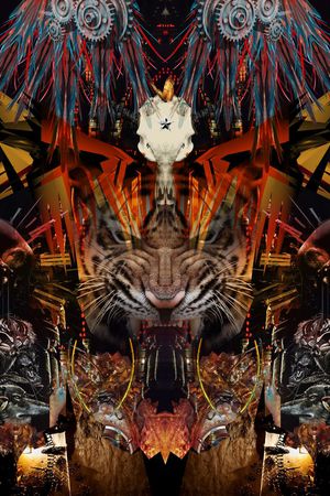 未来数码印花华亿平台图片