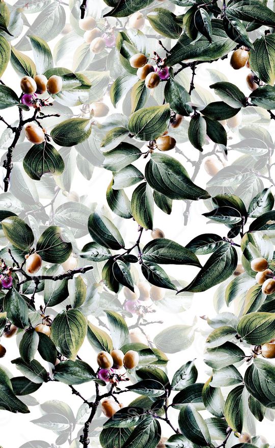 植物叶子印花华亿平台图片