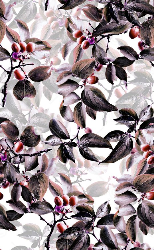 植物叶子印花华亿平台图片