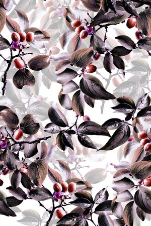 植物叶子印花华亿平台图片