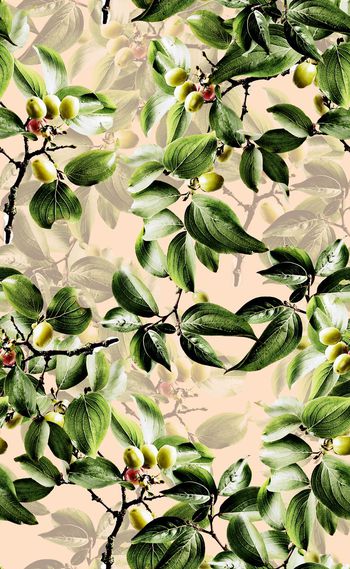 585540-欧美时尚绿色叶子