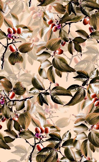 585541-欧美时尚绿色叶子