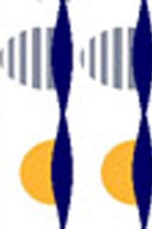 商务休闲印花华亿平台图片