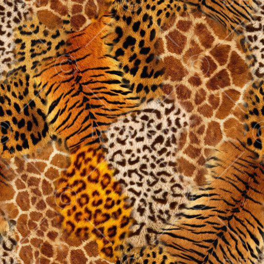 动物纹印花华亿平台图片