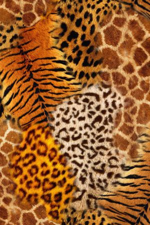 动物纹印花华亿平台图片