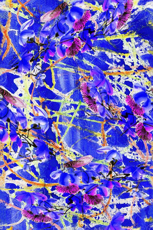 昆虫印花华亿平台图片