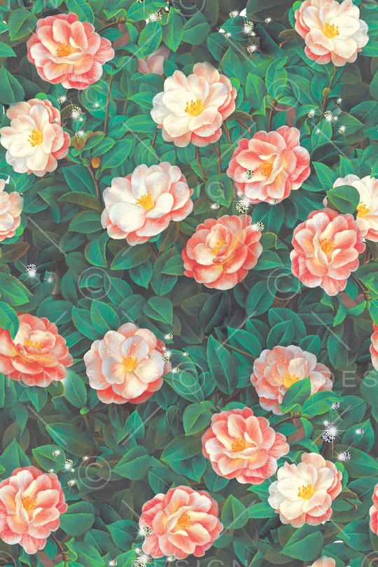 田园风印花华亿平台图片