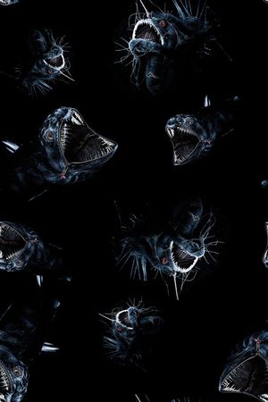 欧美大牌风格印花华亿平台图片