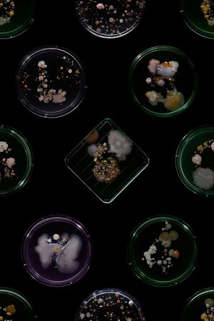 欧美大牌风格印花华亿平台图片