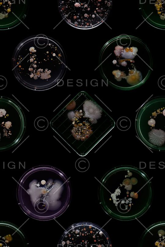 欧美大牌风格印花华亿平台图片