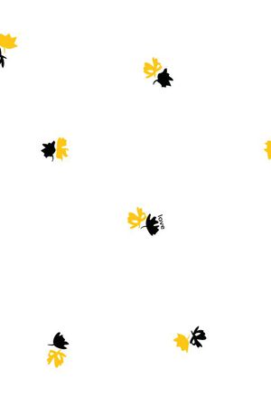 2016春夏女装印花华亿平台图片