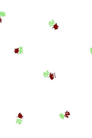 2016春夏女装印花华亿平台图片