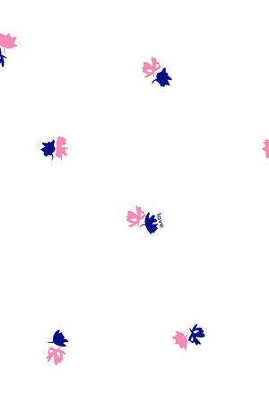 2016春夏女装印花华亿平台图片