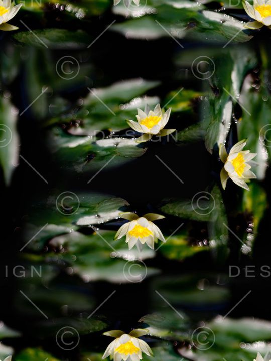 复古印花华亿平台图片