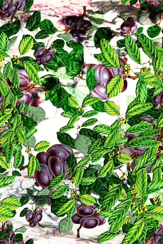 连衣裙半身裙印花华亿平台图片