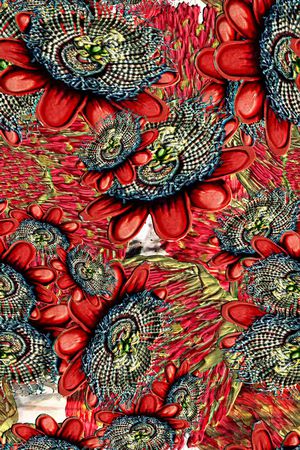 东南亚印花华亿平台图片