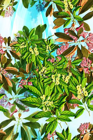 风景印花华亿平台图片