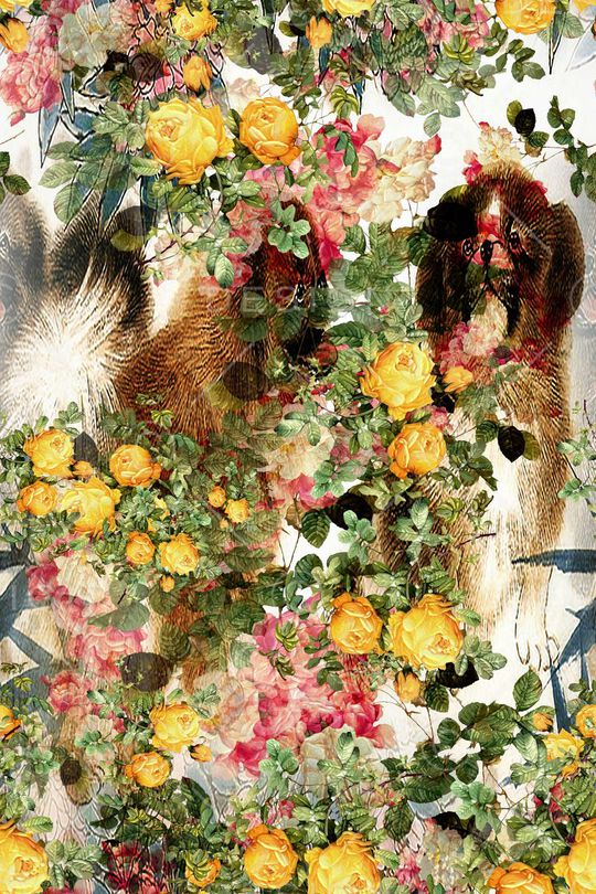 趣味印花华亿平台图片