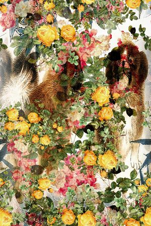 趣味印花华亿平台图片