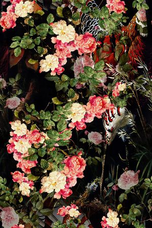 玫瑰印花华亿平台图片