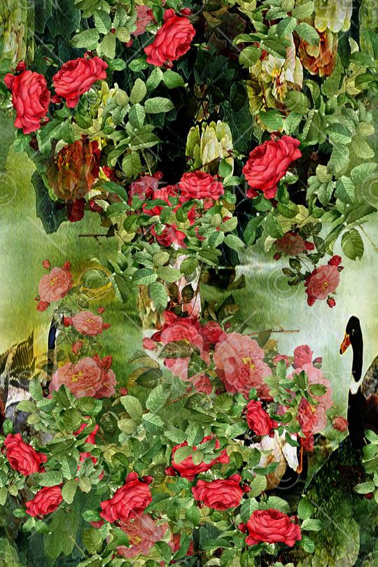 波西米亚印花华亿平台图片