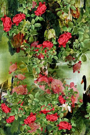 波西米亚印花华亿平台图片