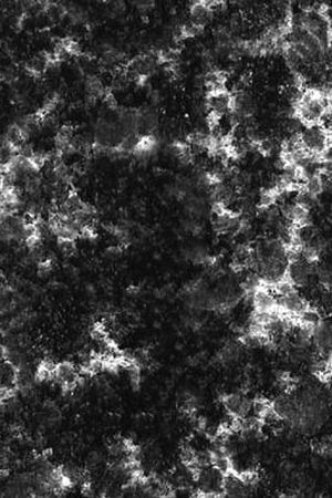 女装印花华亿平台图片