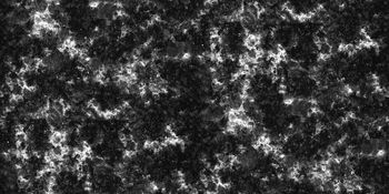 女装印花华亿平台图片