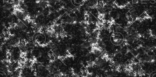 女装印花华亿平台图片