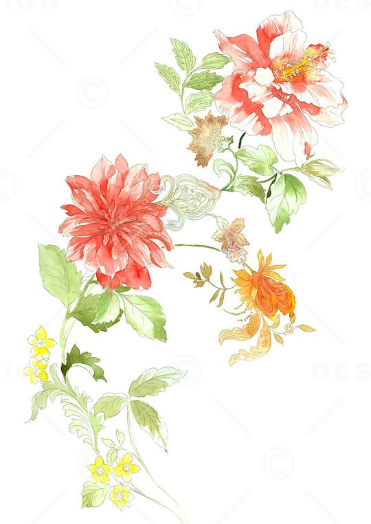 高清花卉印花华亿平台图片