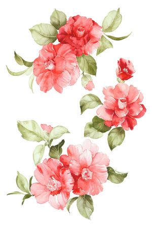 高清花卉印花华亿平台图片