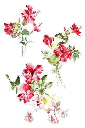 高清花卉印花华亿平台图片