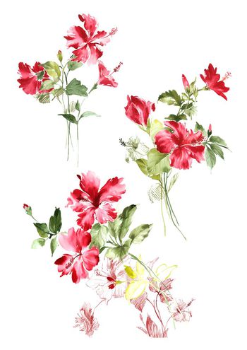 高清花卉印花华亿平台图片