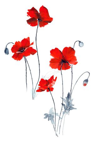 高清花卉印花华亿平台图片