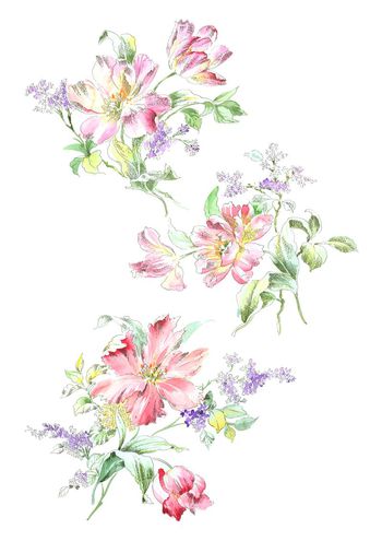 高清花卉印花华亿平台图片