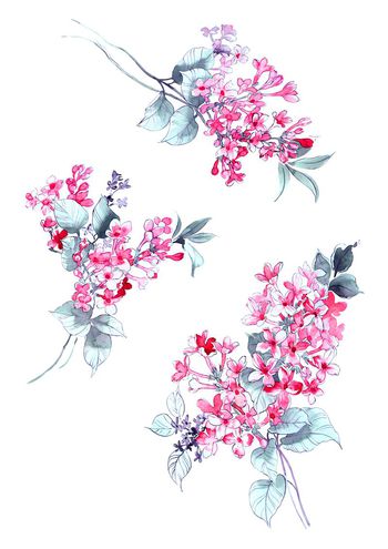 高清花卉印花华亿平台图片