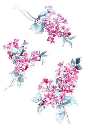 高清花卉印花华亿平台图片