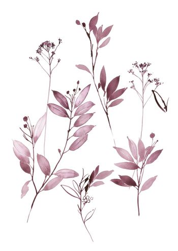 高清花卉印花华亿平台图片